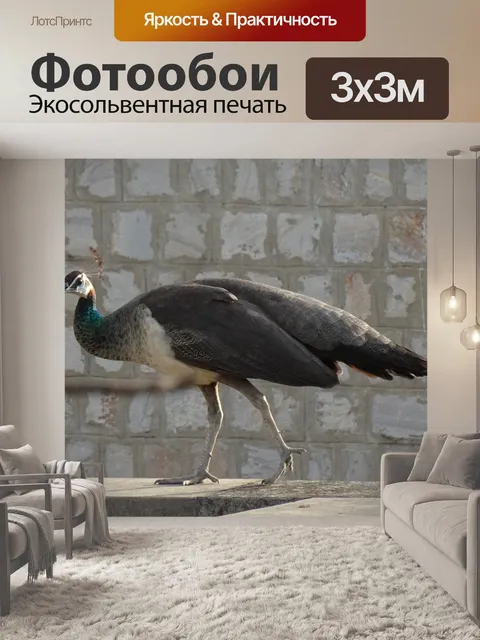 Фотообои Птица