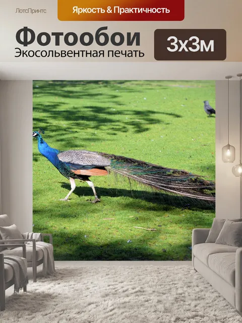 Фотообои Птицы