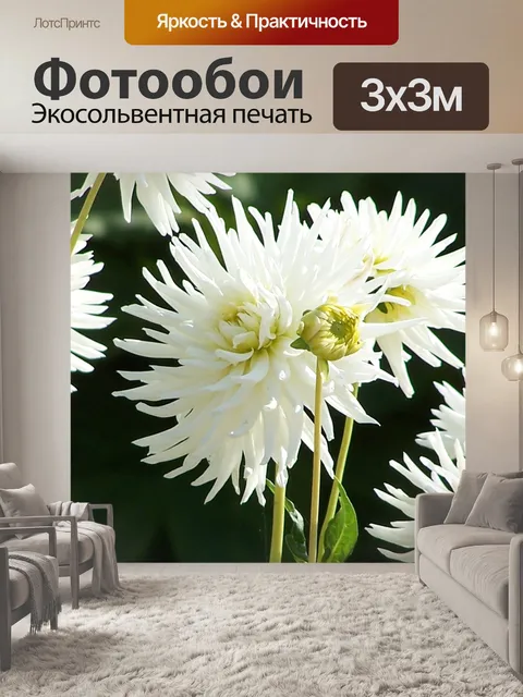 Фотообои Георгин