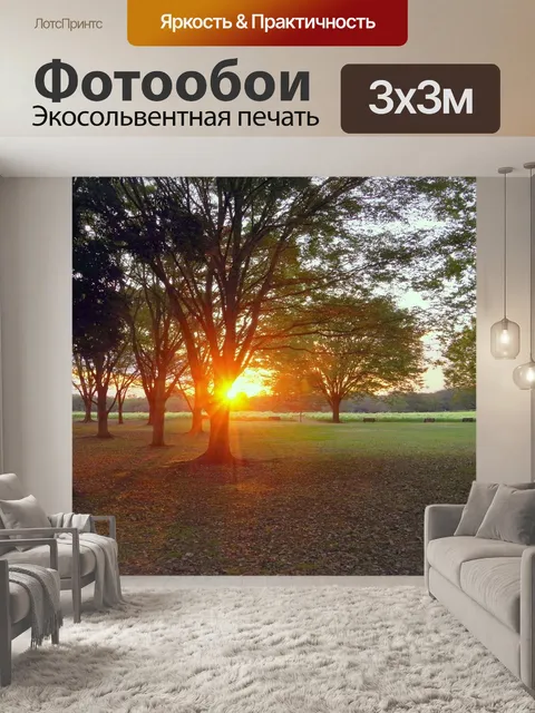 Фотообои Закат