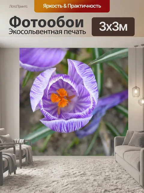 Фотообои Цветы