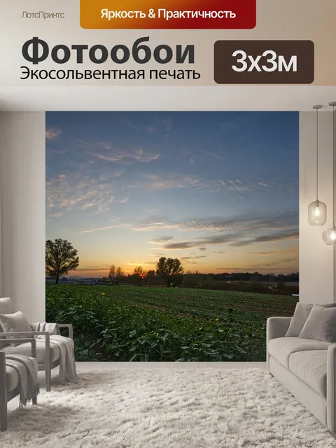 Фотообои Поле