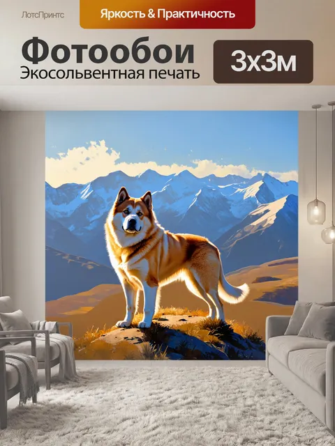 Фотообои акита-ину, стоящая на вершине холма с великолепным видом на горы, покрытые инеем