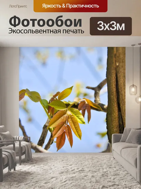 Фотообои Листья