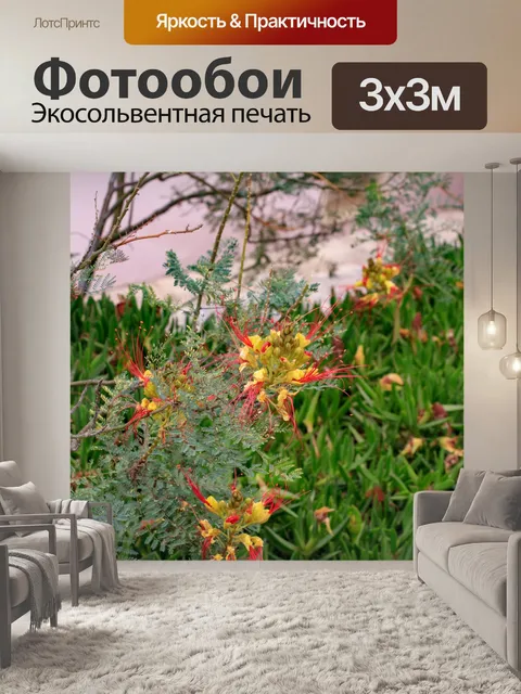 Фотообои Греческий цветок