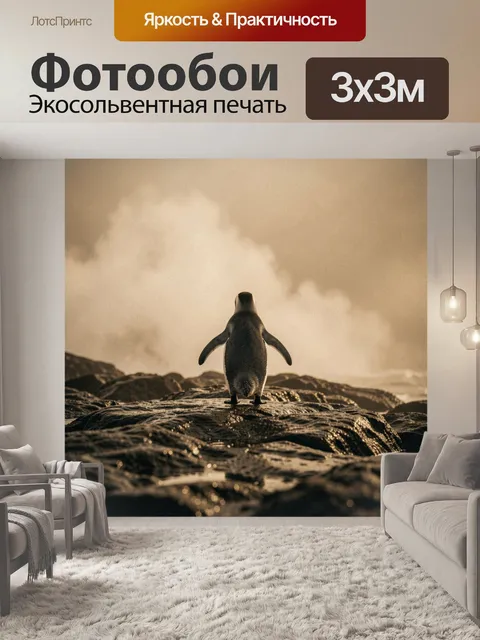 Фотообои Пингвин на каменистом берегу