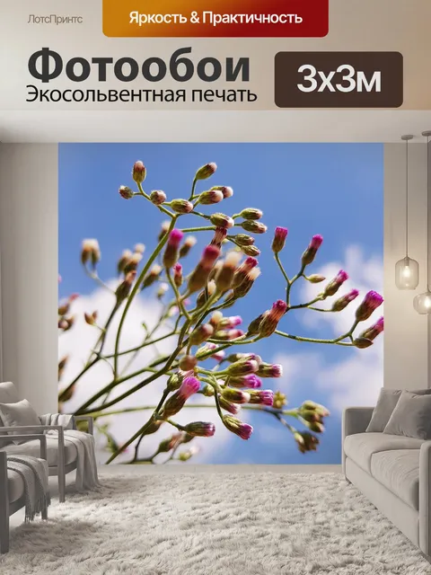 Фотообои Цветы