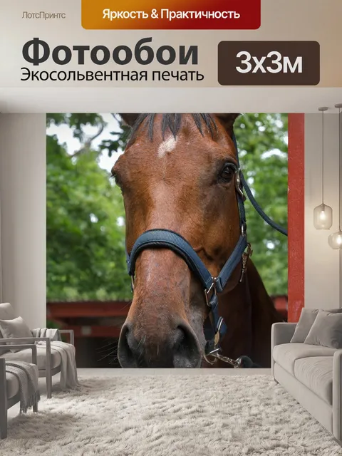 Фотообои Лошадь
