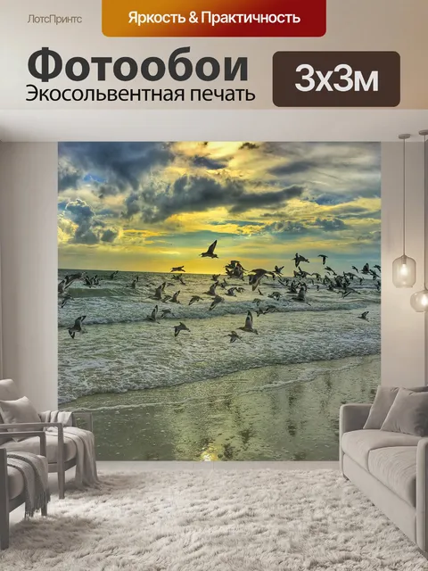 Фотообои Морские птицы