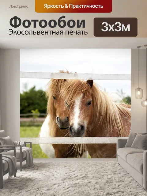 Фотообои Лошади