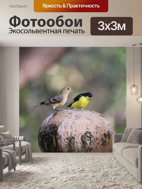 Фотообои Птицы