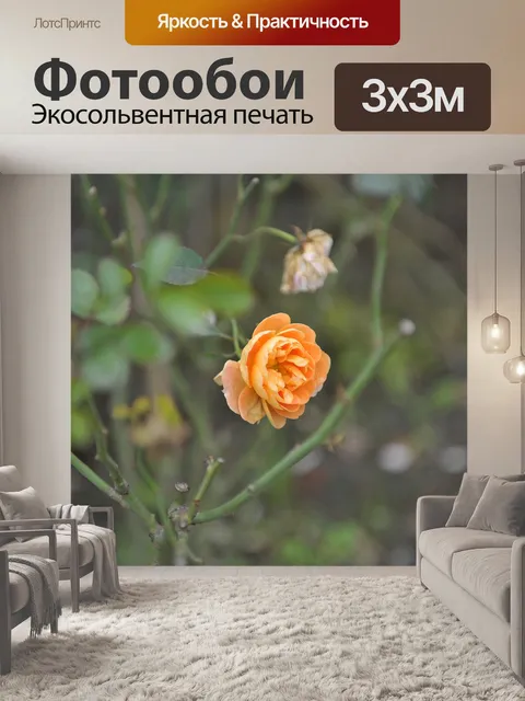 Фотообои Цветы