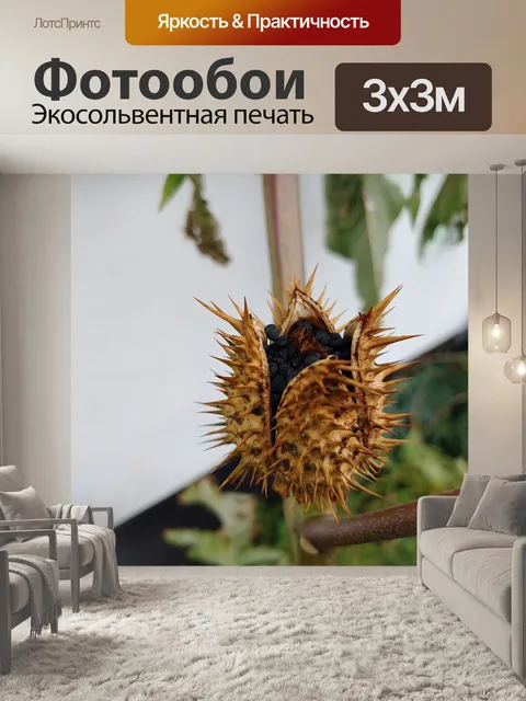 Фотообои Деревья