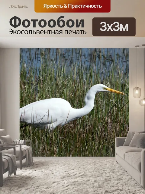 Фотообои Цапля