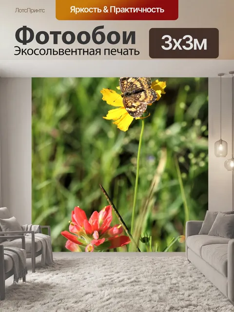 Фотообои Бабочка и полевые цветы