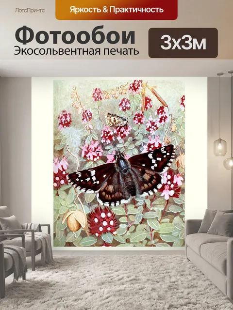 Фотообои Мотылек бабочка винтажное искусство