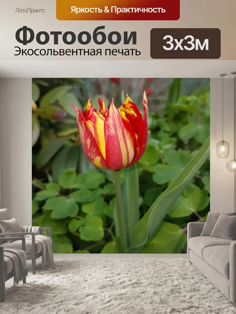 Фотообои Весна