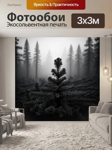 Фотообои тёмный сосновый лес, окутанный туманом, создаёт таинственную атмосферу