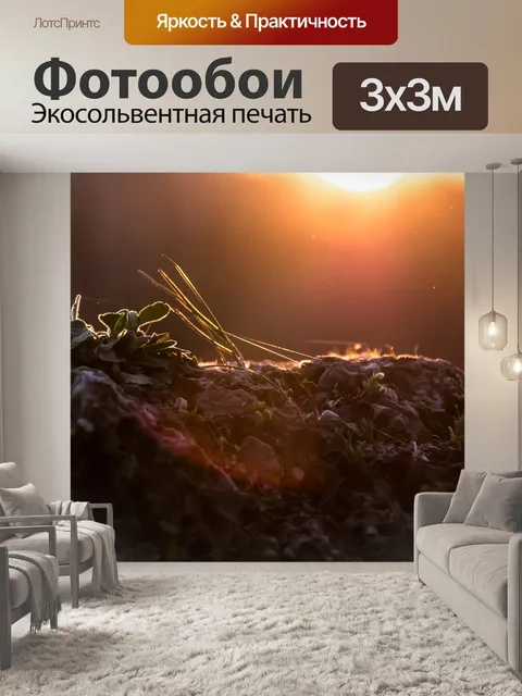 Фотообои Солнце