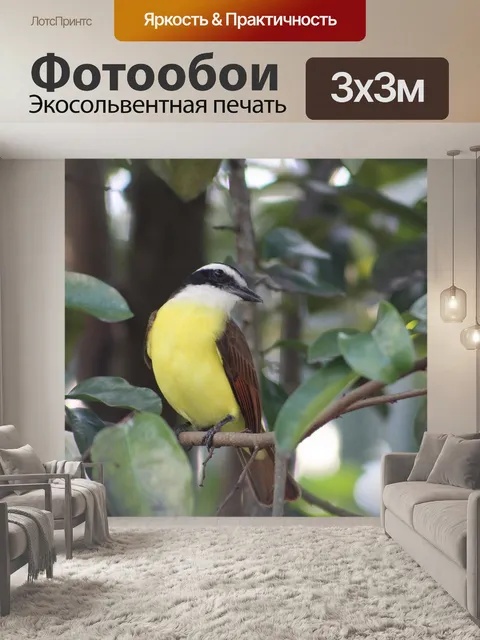 Фотообои Птица
