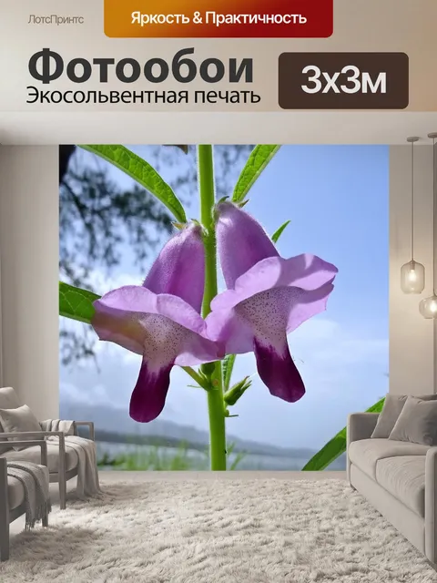 Фотообои Цветок