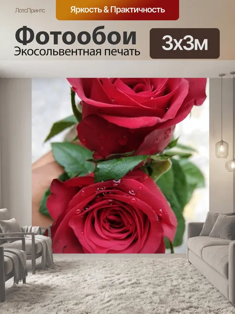 Фотообои Роза