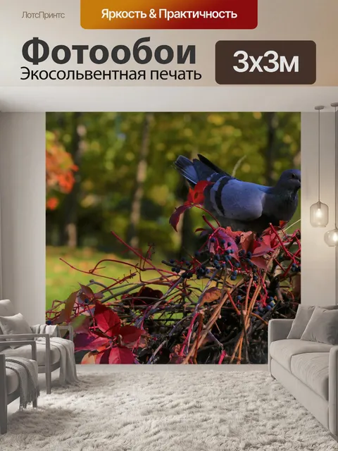 Фотообои Птица