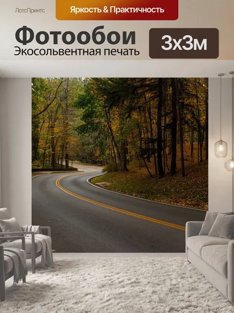 Фотообои Дорога