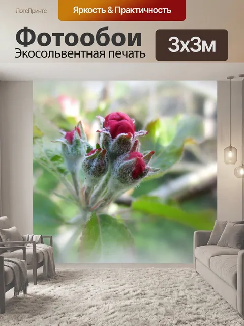Фотообои Цветочный бутон