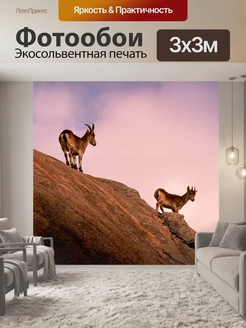 Фотообои Козы