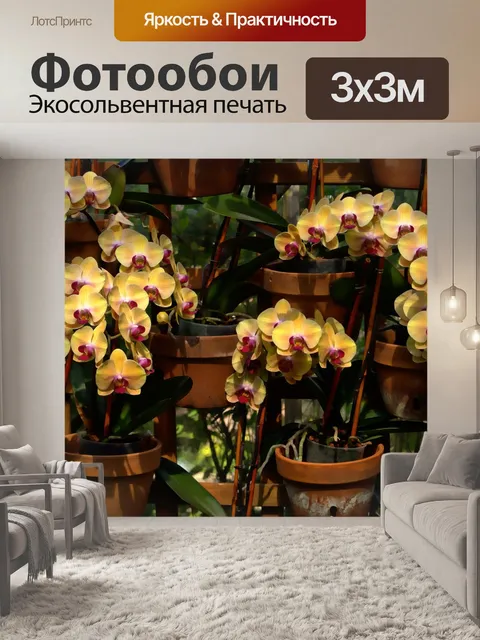 Фотообои Орхидеи