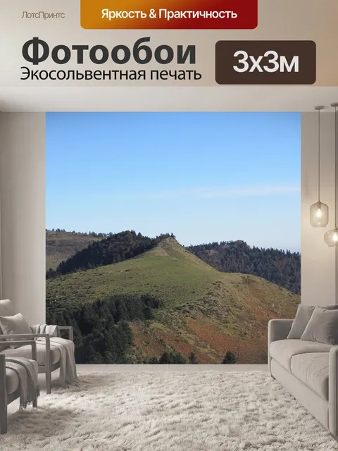 Фотообои Лес