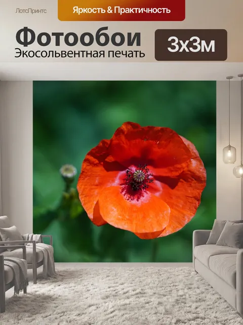 Фотообои Зеленый