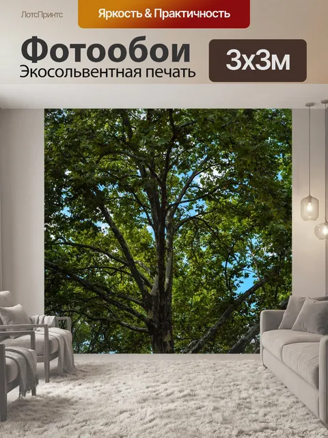 Фотообои Дерево