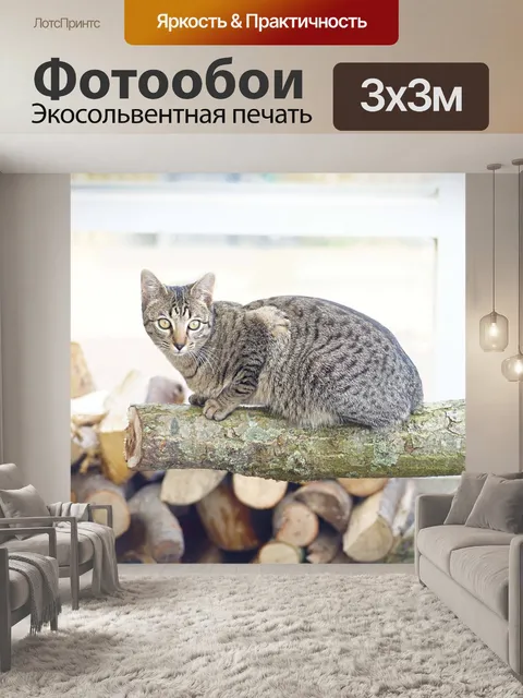 Фотообои Кошка