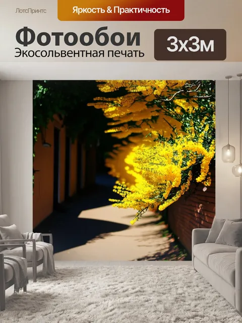 Фотообои затенённая аллея, яркие жёлтые цветы мимозы тянутся к свету, создавая эффектный контраст с тенями вокруг
