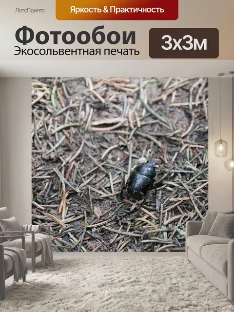 Фотообои Жук