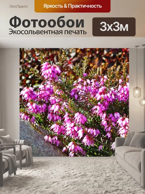 Фотообои Цветы
