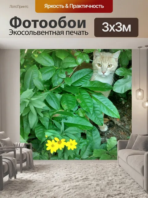 Фотообои Дикие цветы и кошка