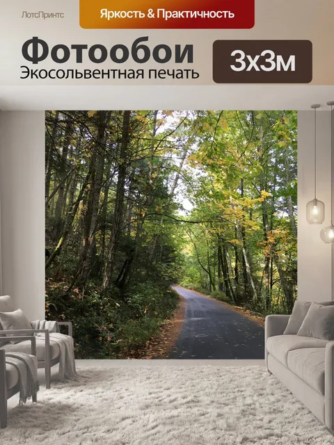Фотообои Дорога