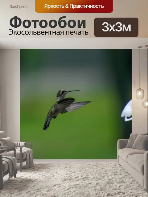 Фотообои Птица