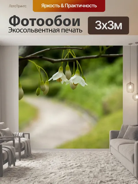 Фотообои Цветы