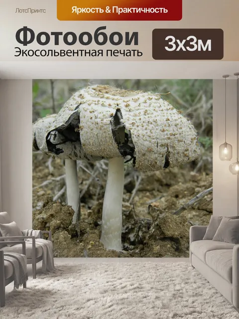 Фотообои Природа