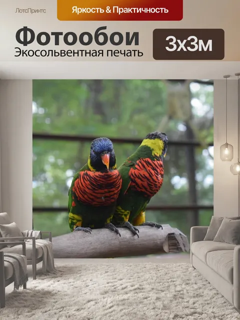Фотообои Птицы