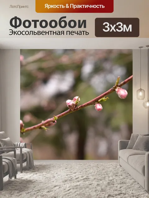 Фотообои Персик