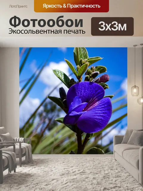 Фотообои Цветок