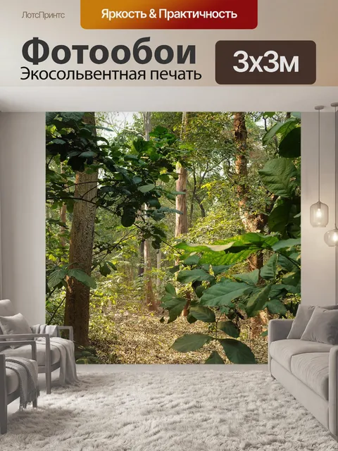 Фотообои Деревья и листья 34