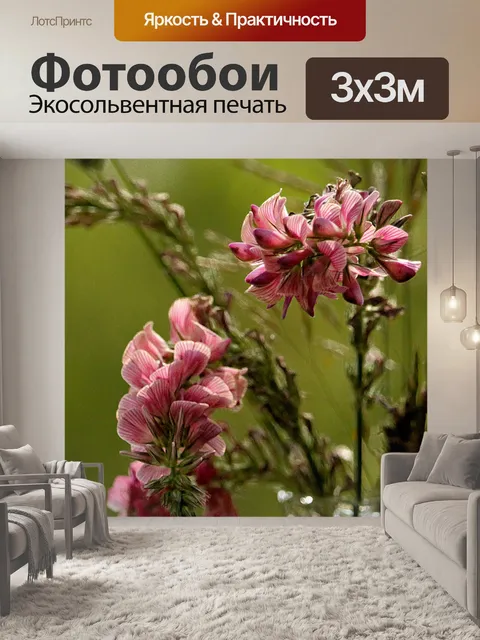 Фотообои Цветок