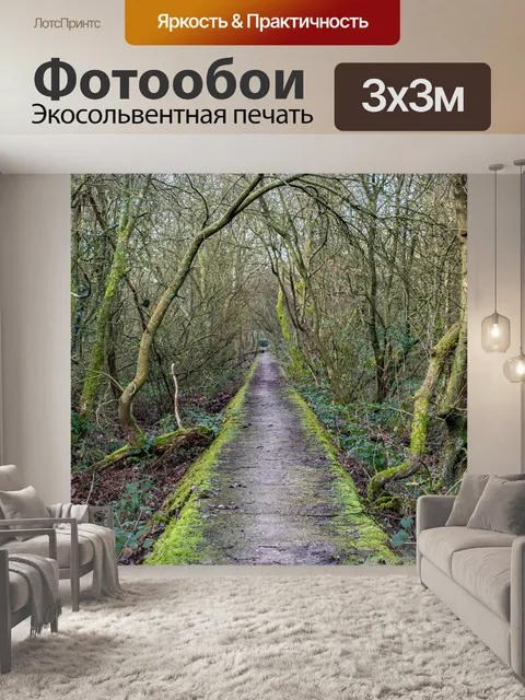Фотообои Деревья