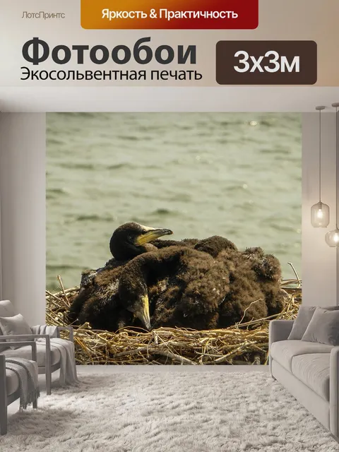 Фотообои Море
